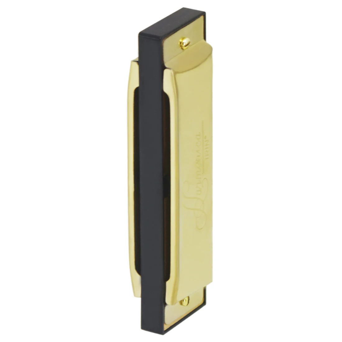 IRIN Harmonica 10 Hole 20 Tone - Musical Instruments Names 评论和价格