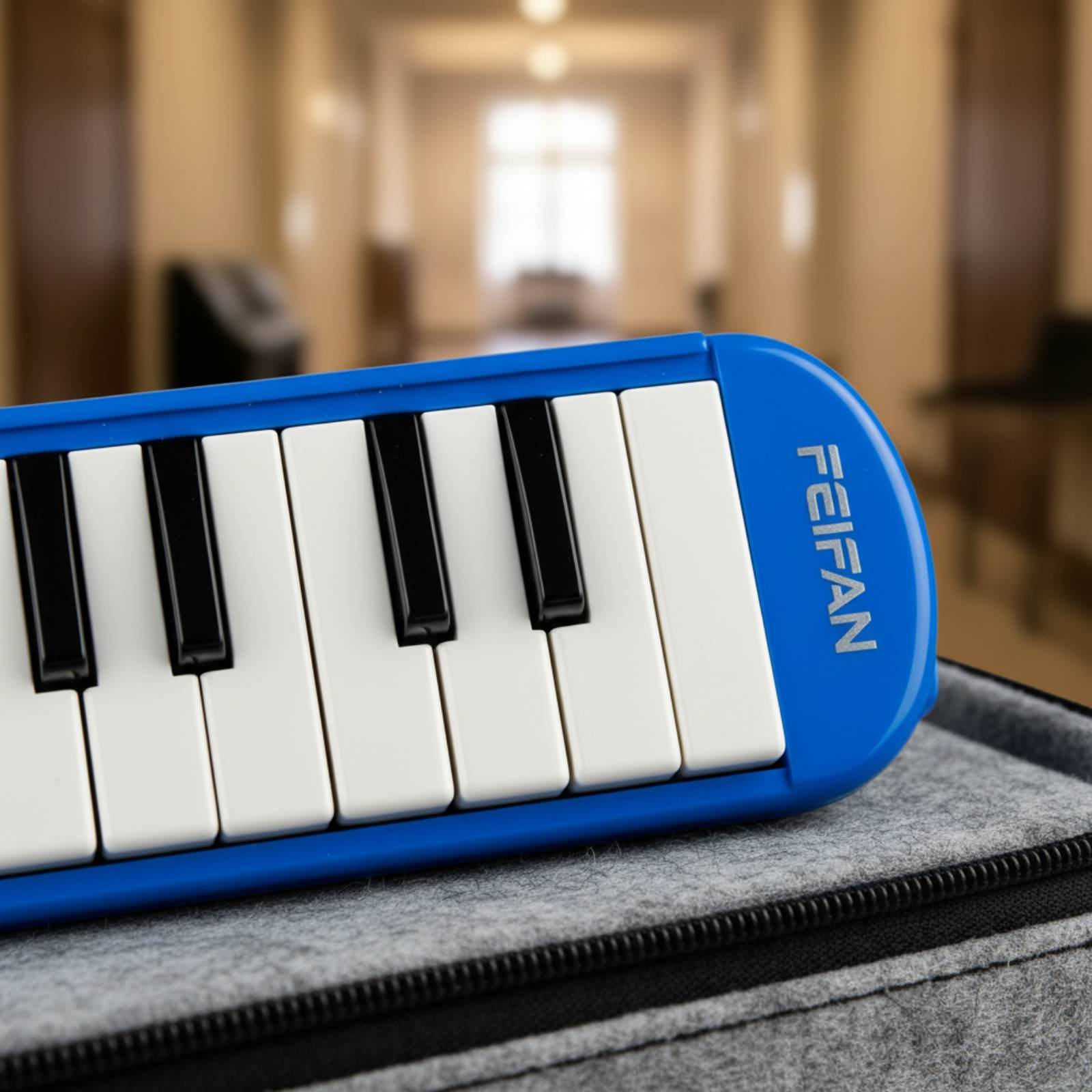 37 Key Melodica Includes Mouth - Melodica Keyboard Wind 评论和价格