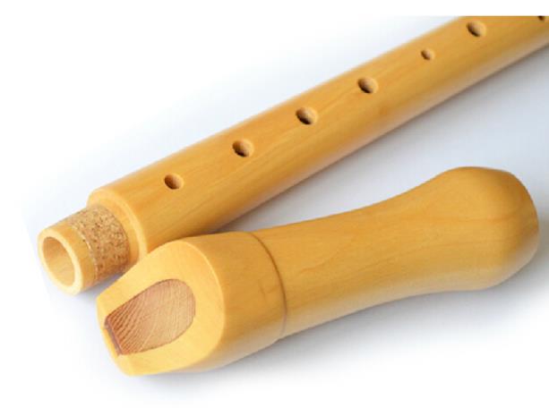 German-style Wooden Recorder 8 - Musical Instrument German 评论和价格