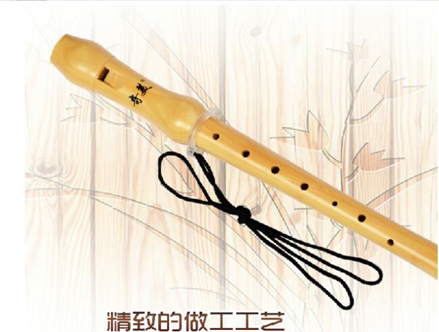 German-style Wooden Recorder 8 - Musical Instrument German 评论和价格
