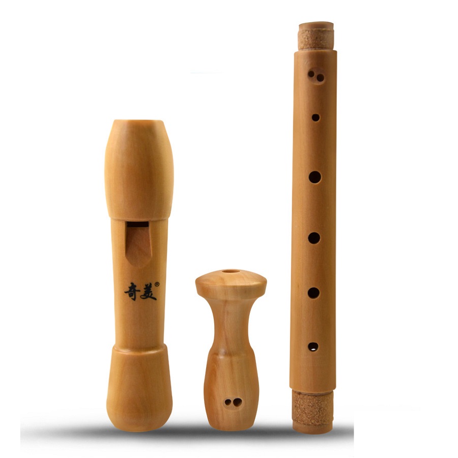 Qimei 8 Holes Alto Recorder Mu - Musical Instrument German 评论和价格