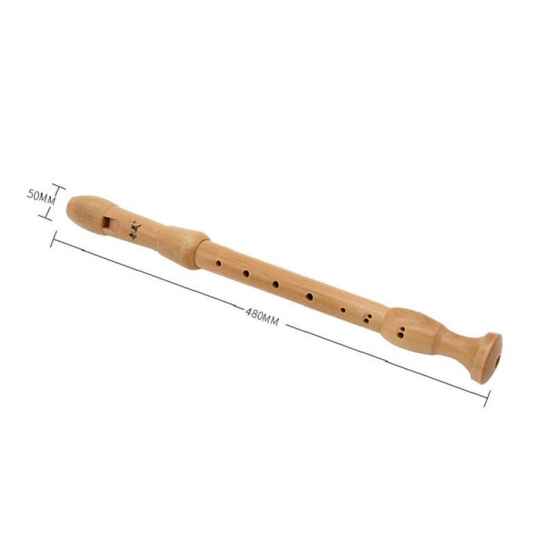 Qimei 8 Holes Alto Recorder Mu - Musical Instrument German 评论和价格