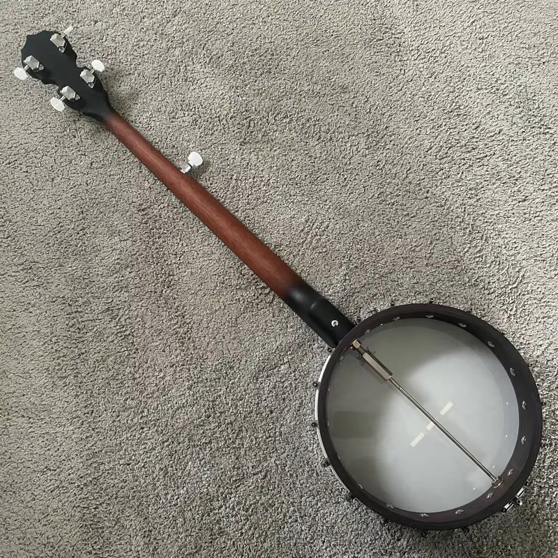 G881 Rally 5-String Banjo, 22  - Banjo 5 String Open 评论和价格